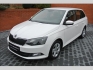 Škoda Fabia 1,4 TDI 66KW STYLE,TEMPOMAT,AU