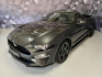 Ford Mustang 2,3 ECOBOOST CABRIO,LED,KEYLES