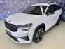 Škoda Kodiaq 2,0 TSI RS 195 KW 7°DSG, 4X4,