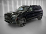 Mercedes-Benz GLS 450d 4M AMG, PANORAMA, BURMEST